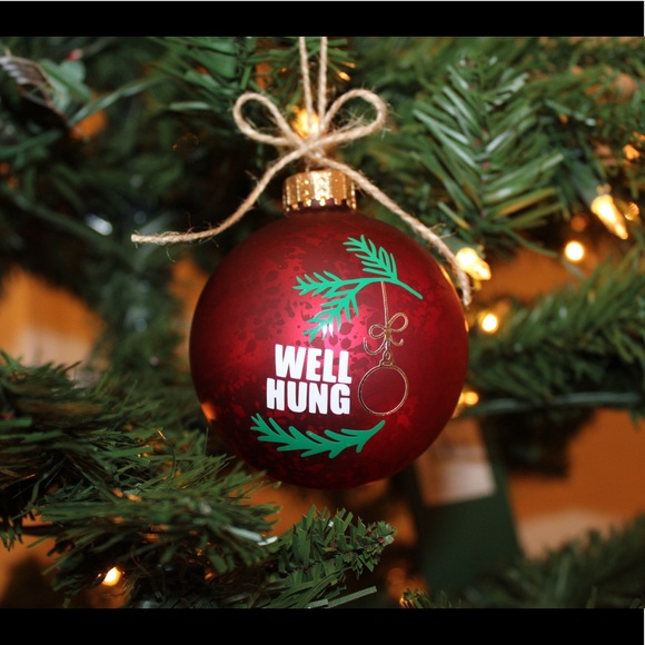 WELL HUNG- HANDMADE CHRISTMAS GLASS RED ORNAMENT - Picture 11 of 16